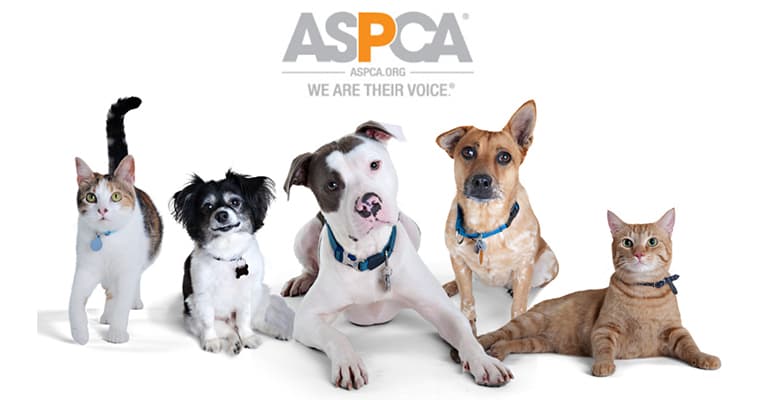 local car body shop near you